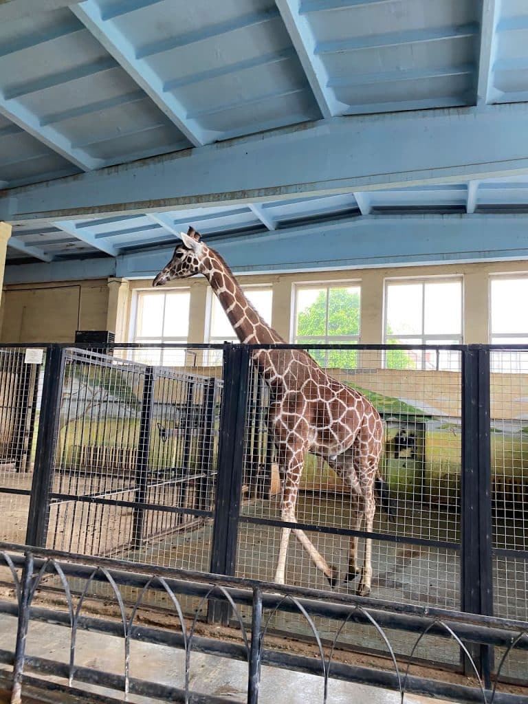 В Калининград с детьми: топ-10 мест для яркого семейного отдыха