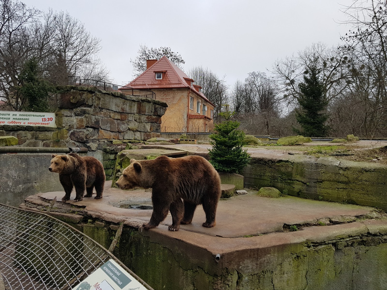 Калининградский зоопарк (Калининград, Калининградская область, Россия)