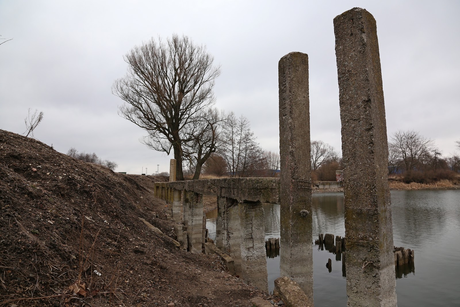 Озеро Шенфлис (Калининград, Россия)