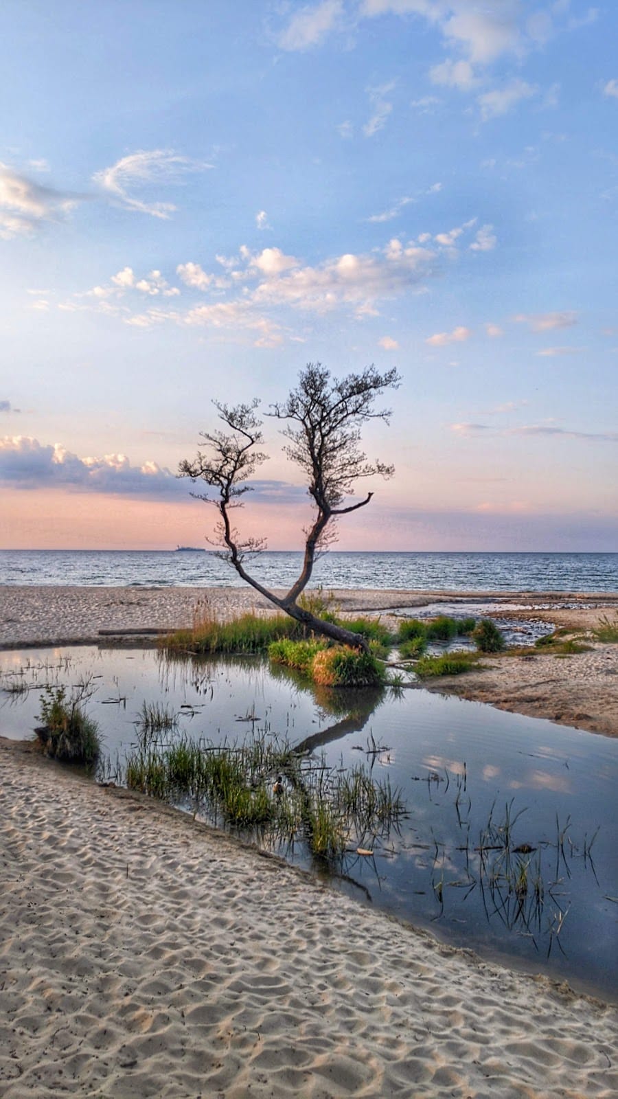 Пляж Куликово (Калининградская область, Россия)