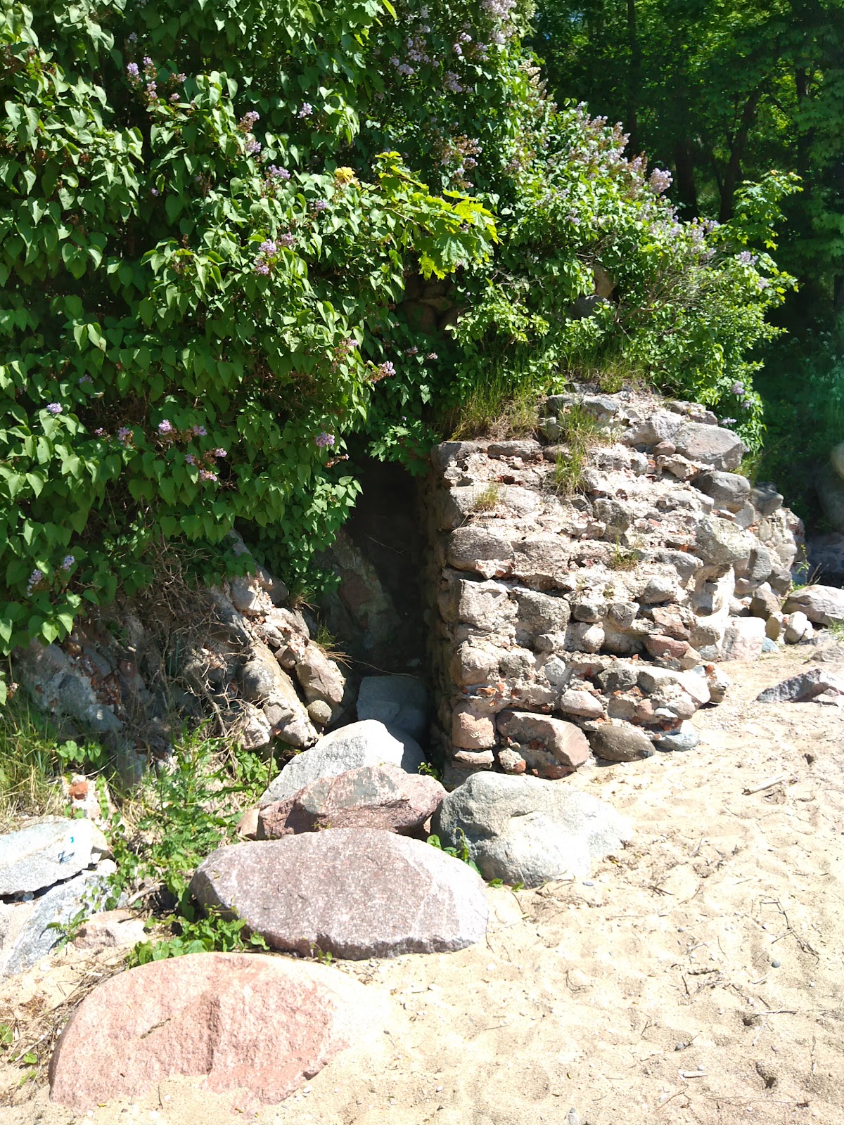 Замок Бальга (Знаменка, Багратионовский округ, Россия)