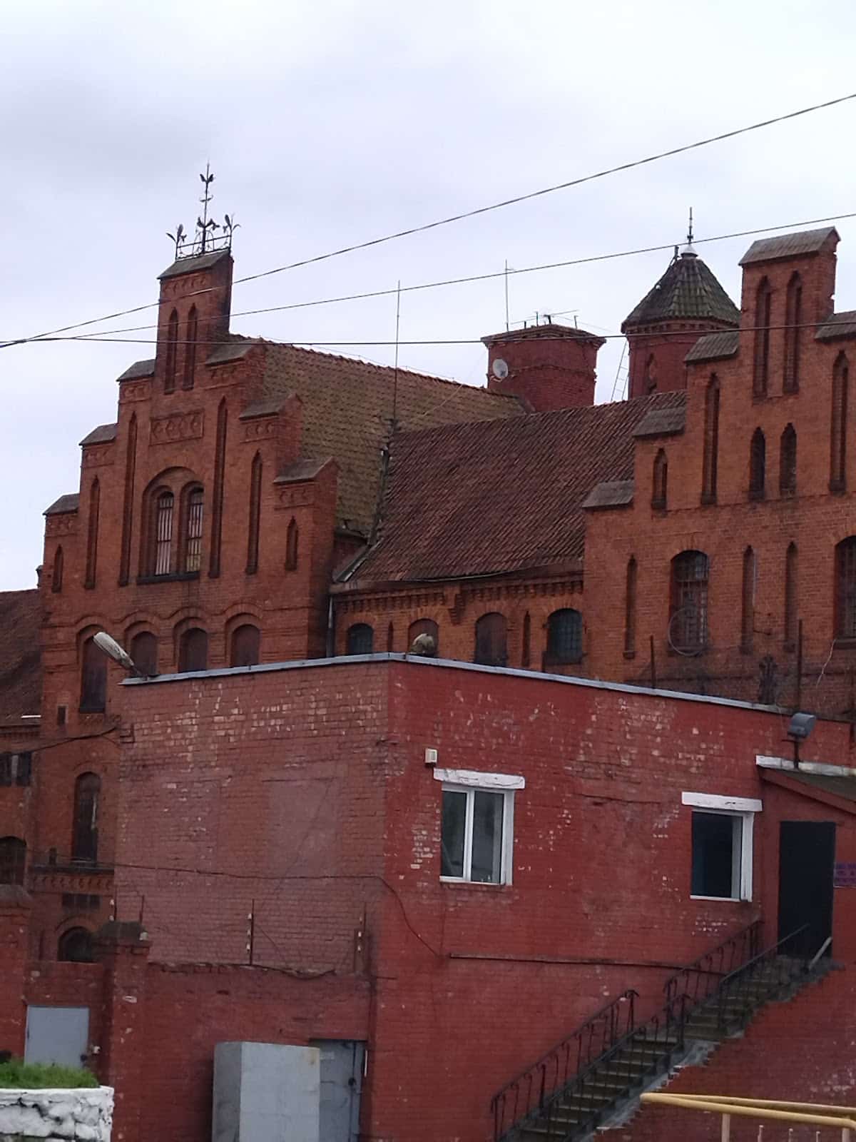 Замок Тапиау (Гвардейск, Калининградская область, Россия)