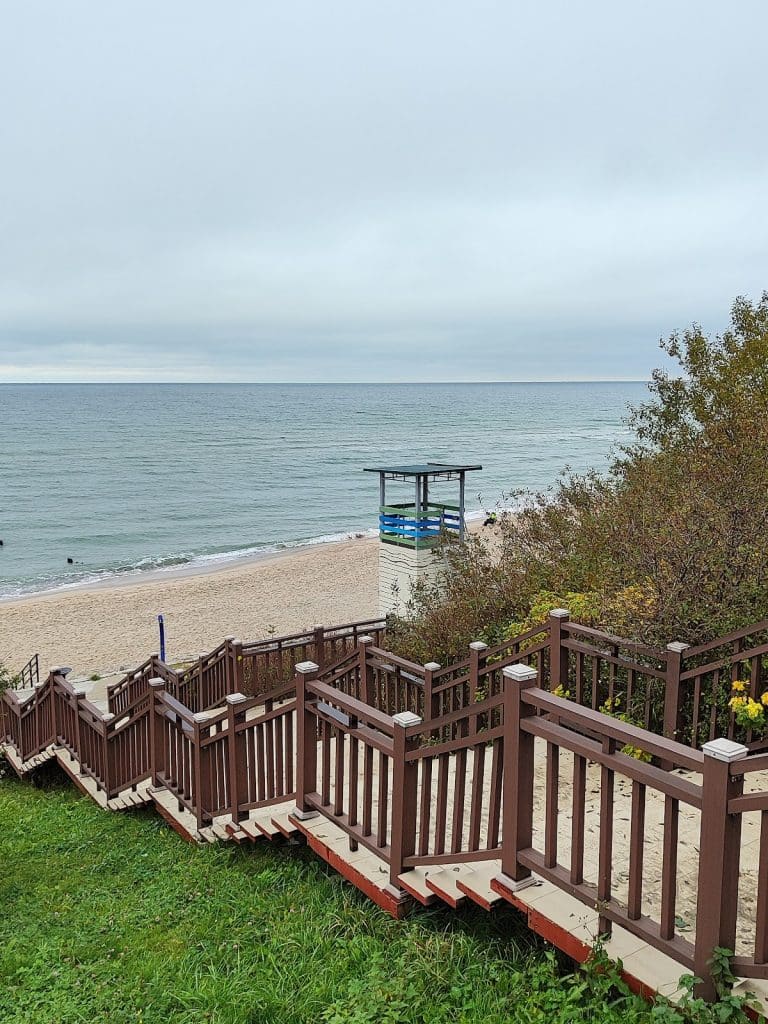 Новый Дендропарк в Сосновке: Зеленоградск Расцветает!