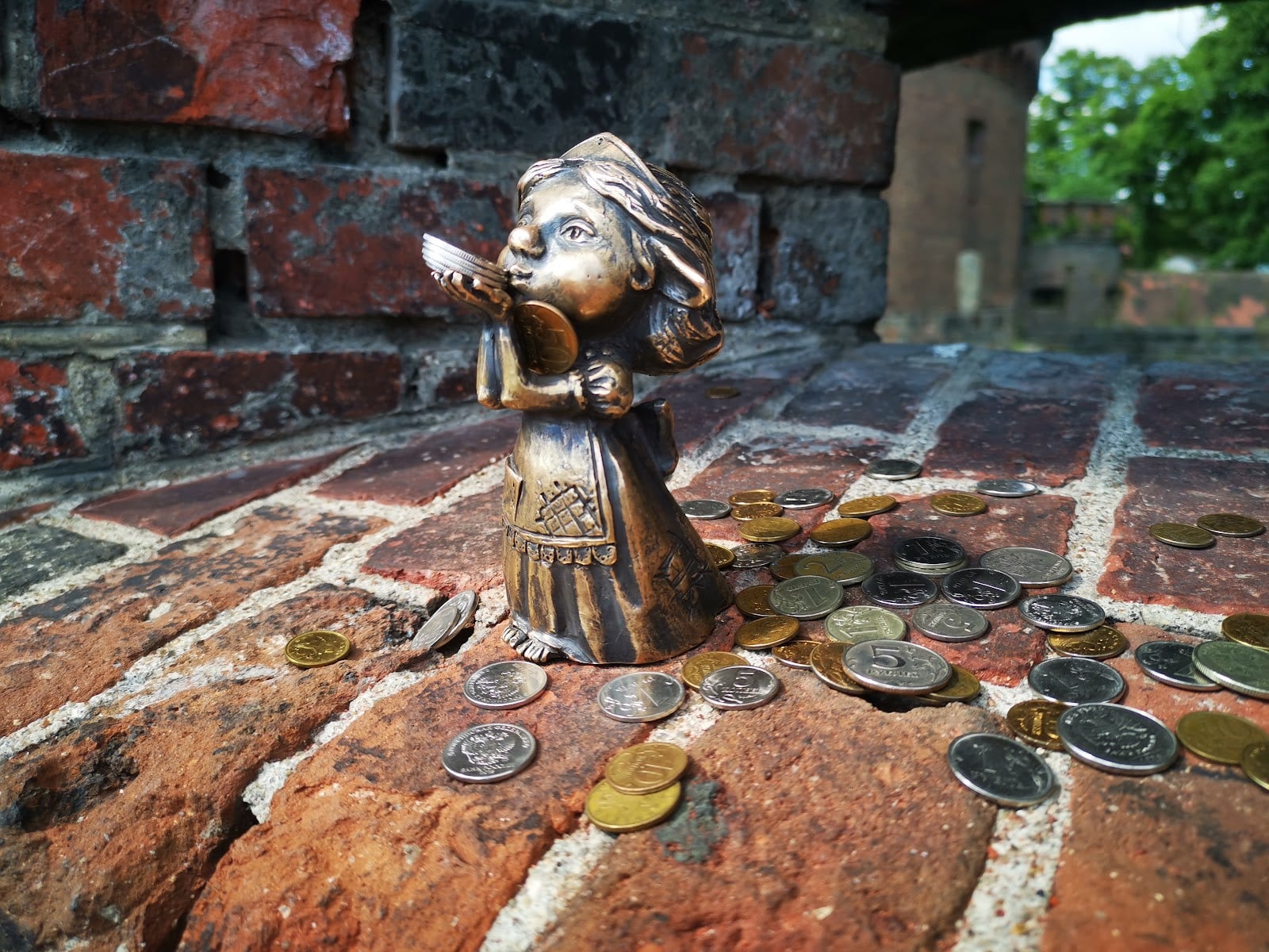 Где живут хомлины: отправляемся на поиски!