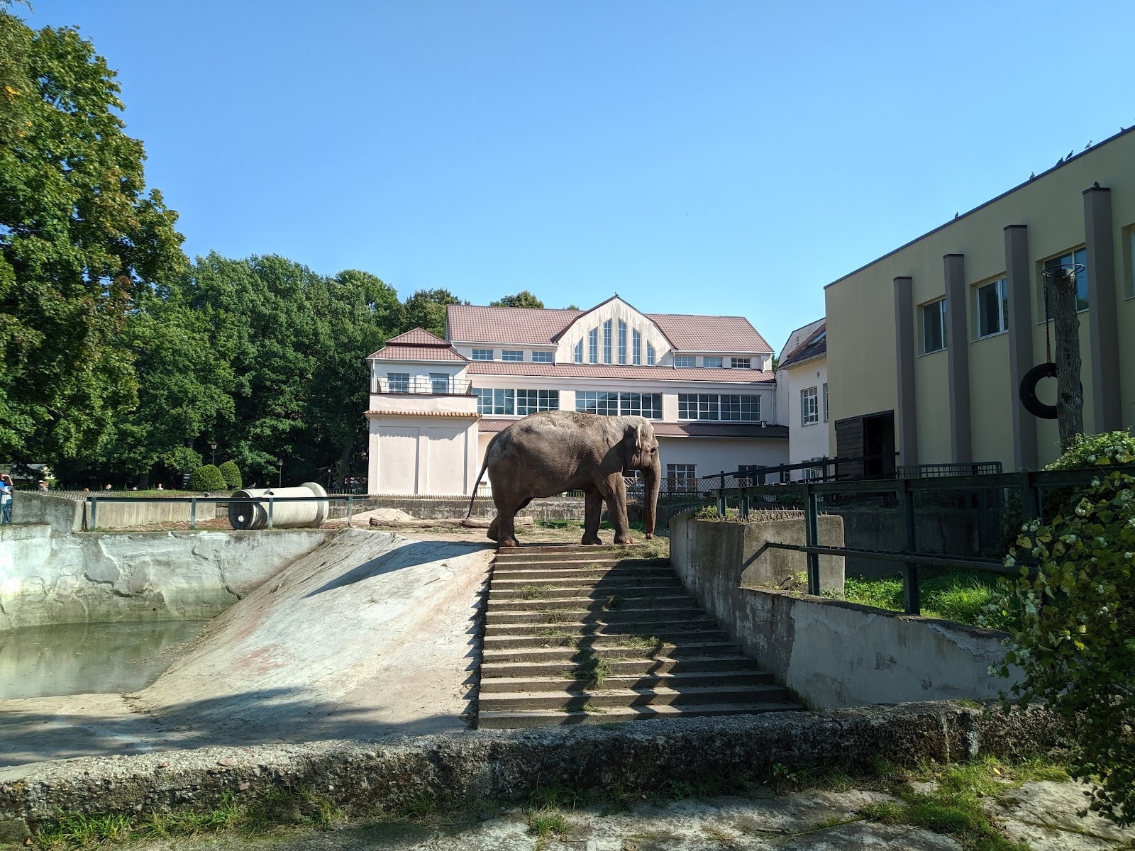 Режим работы Калининградского зоопарка