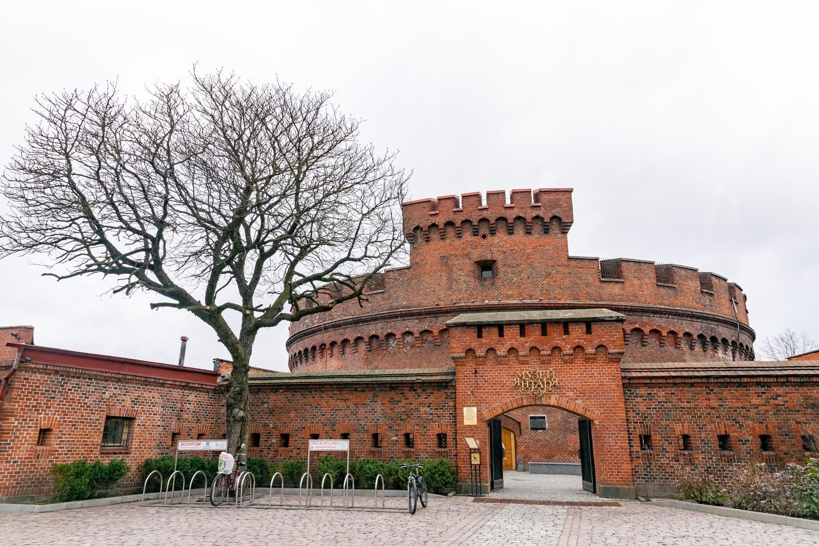 Янтарный край: от украшений до косметики