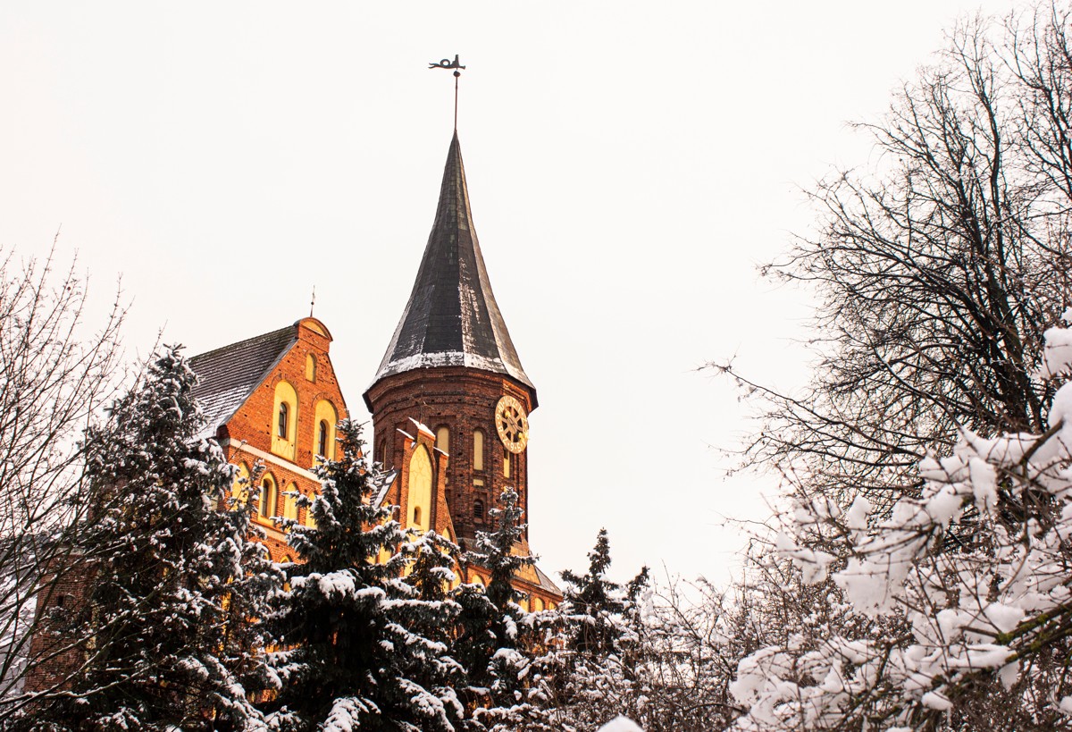 По Калининграду на автобусе + органный концерт в Кафедральном соборе