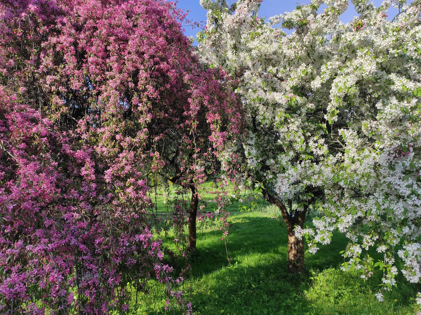 Что посмотреть в Калининграде в апреле: достопримечательности и интересные места