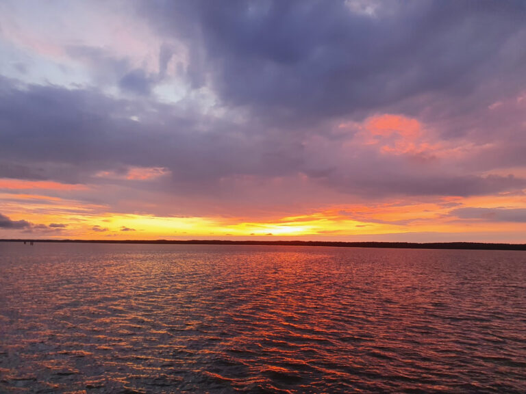 Холодное ли море в Калининграде? Развенчиваем мифы о ледяной Балтике