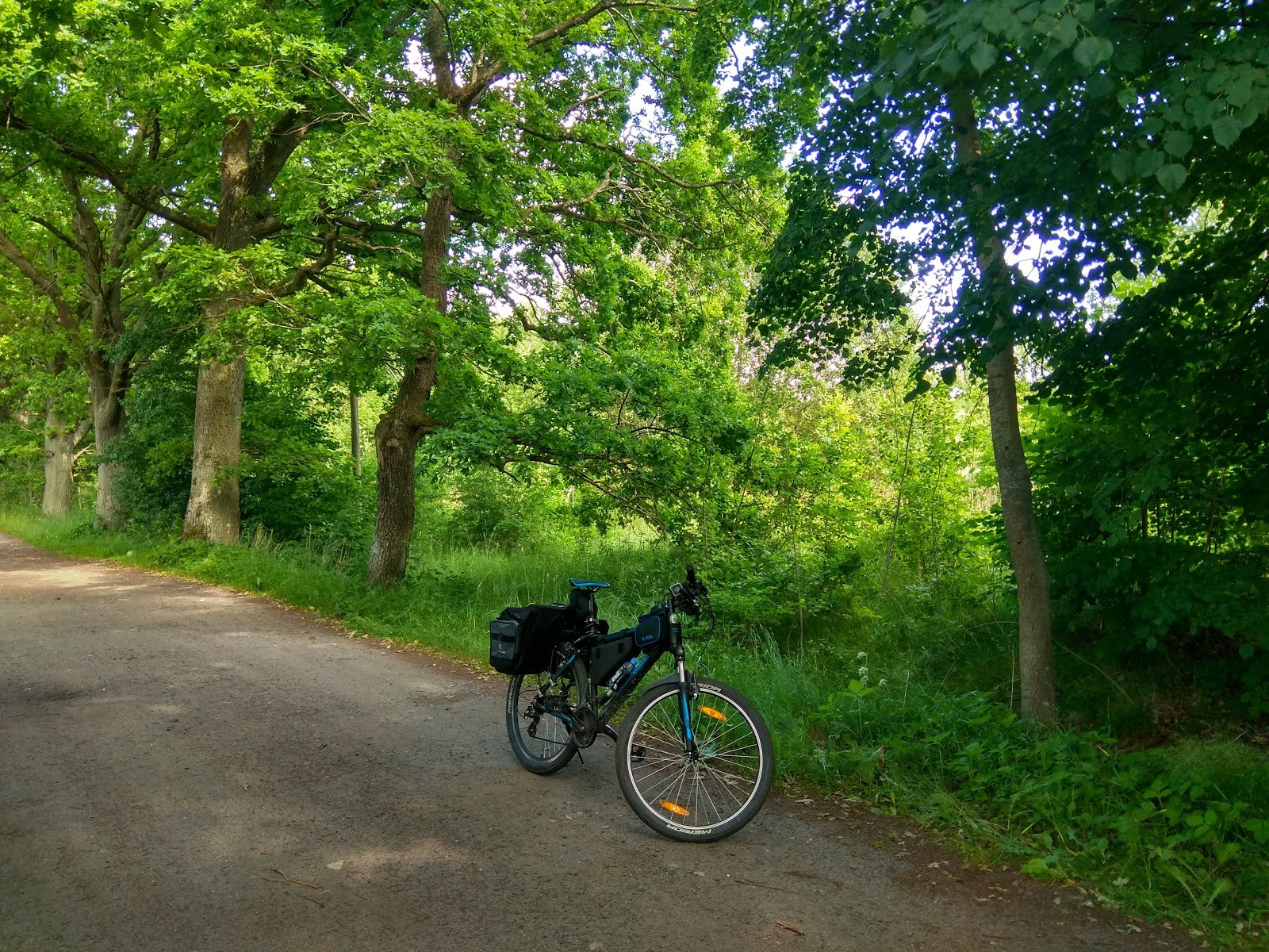 Как сэкономить на жилье в Калининграде: районы с лучшим соотношением цены и комфорта (Углублённый анализ проживания для разных бюджетов)