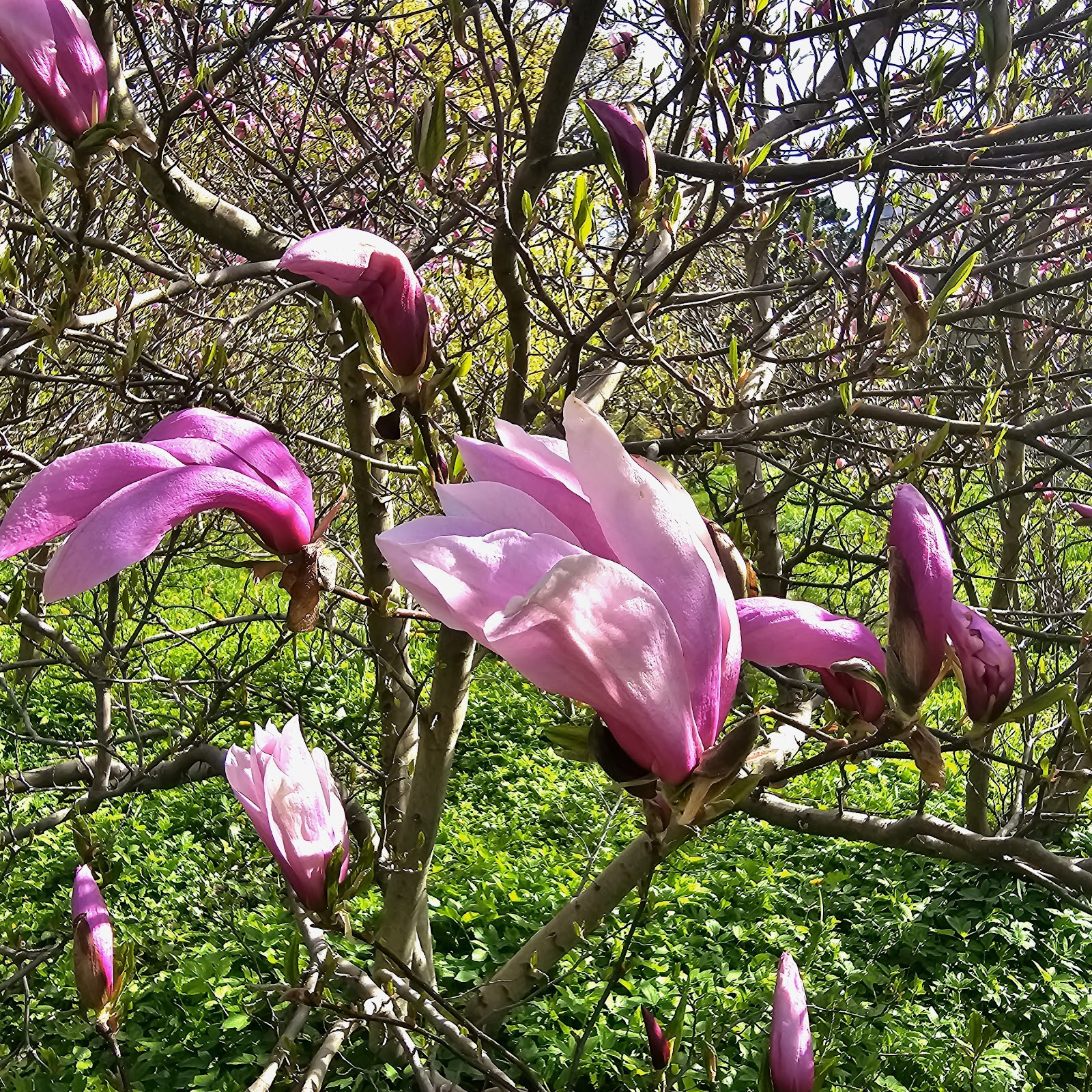 Калининград в мае: тепло, солнце и отдых на море