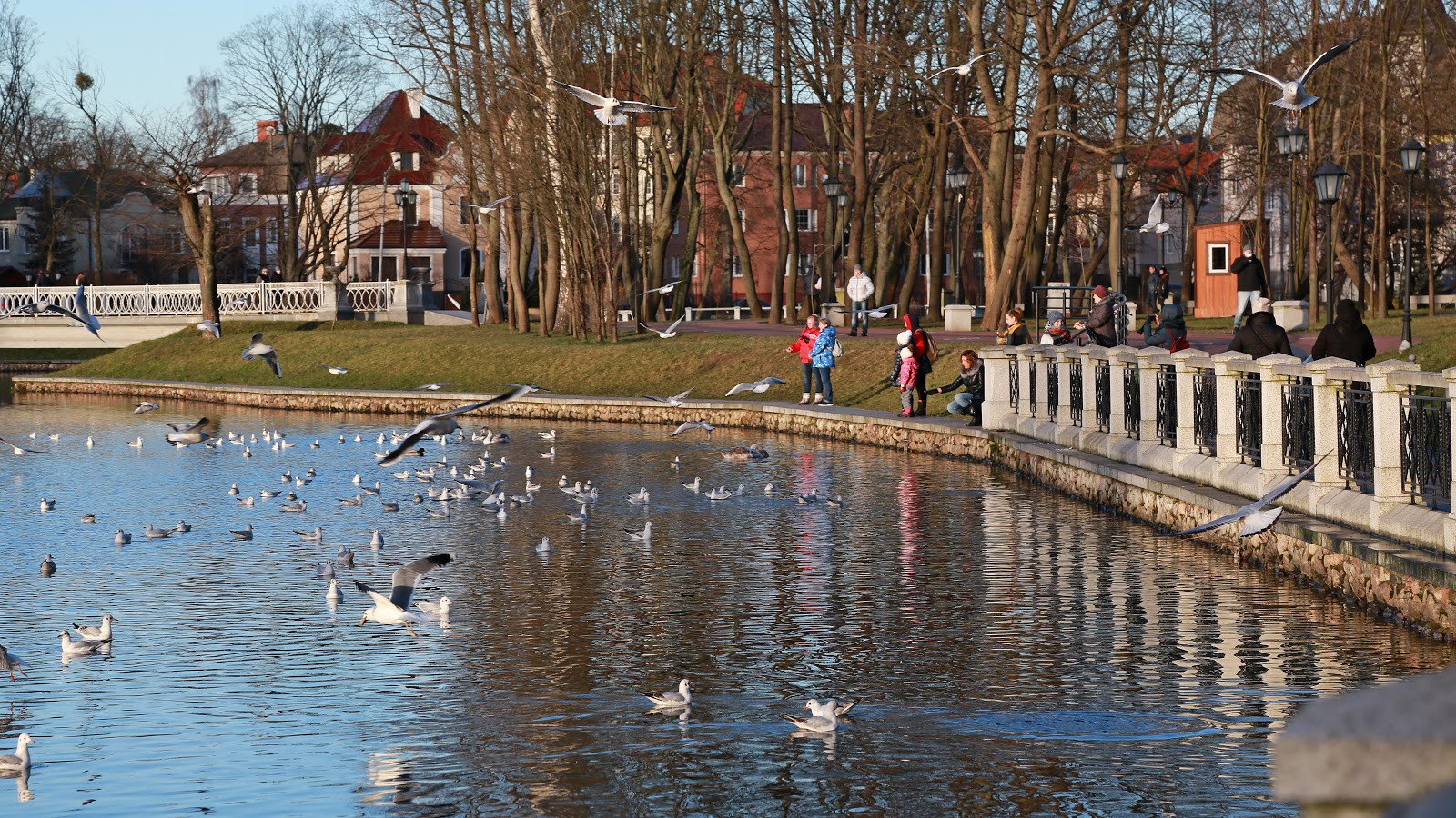 Районы Калининграда для любителей вечерних развлечений