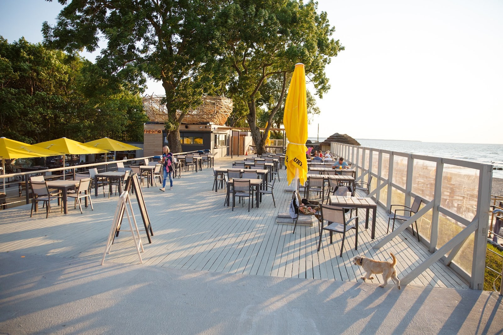 Рестораны Калининградской области: гастрономические открытия за пределами города