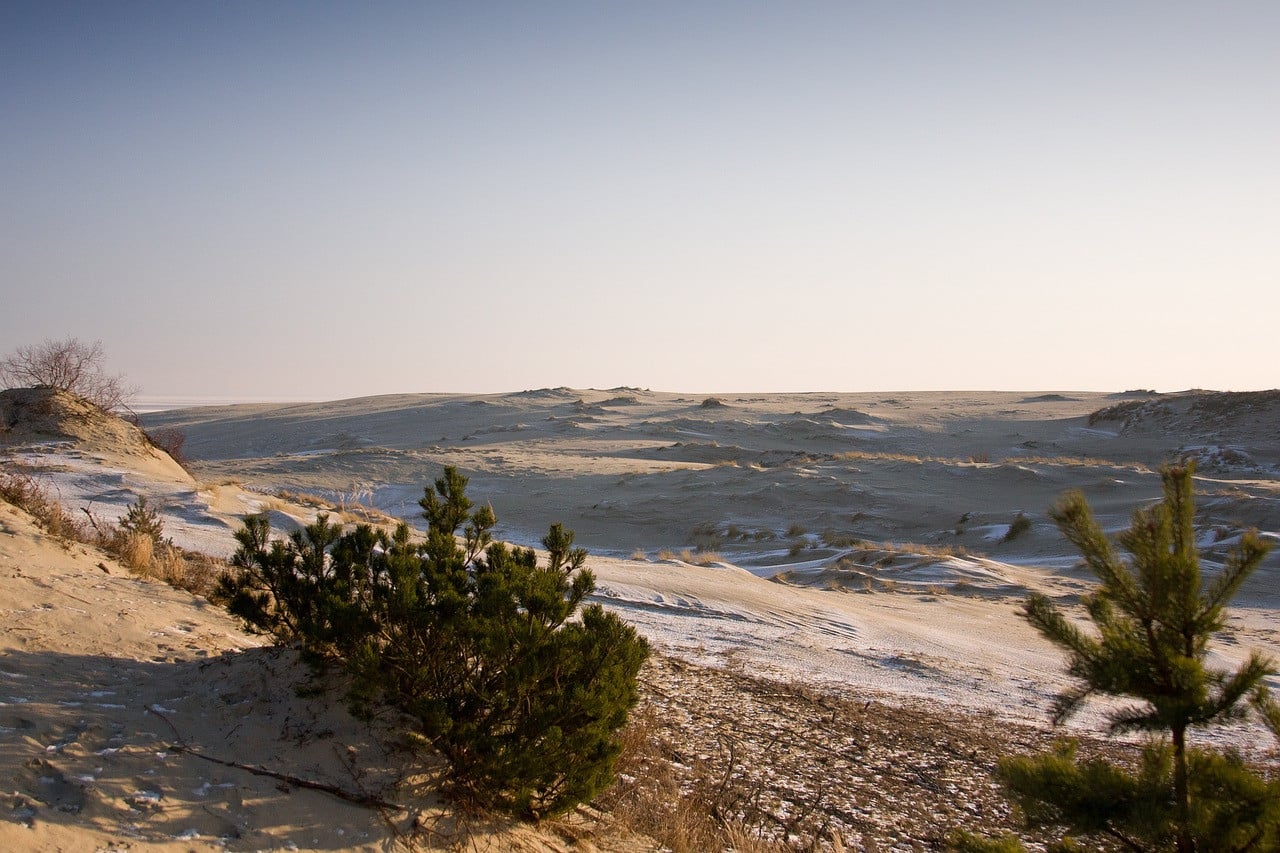 Curonian Spit