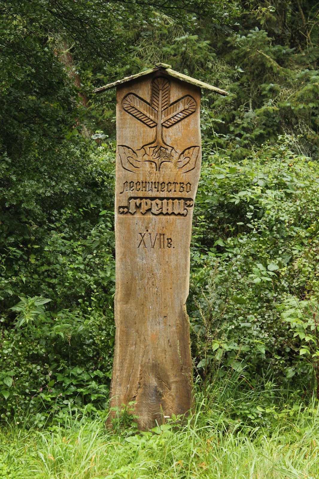 Королевский бор