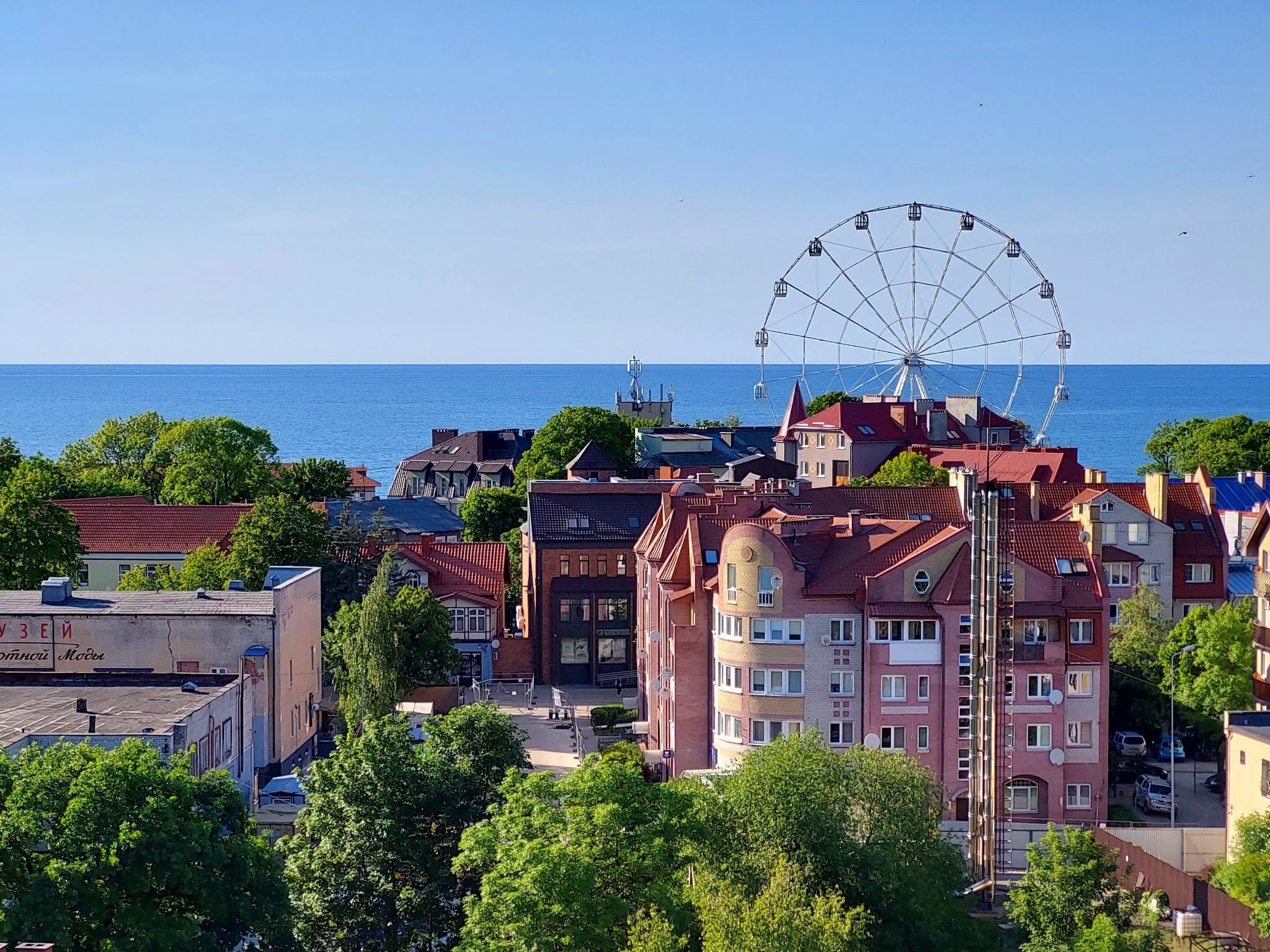 Музей кошек «Мурариум»