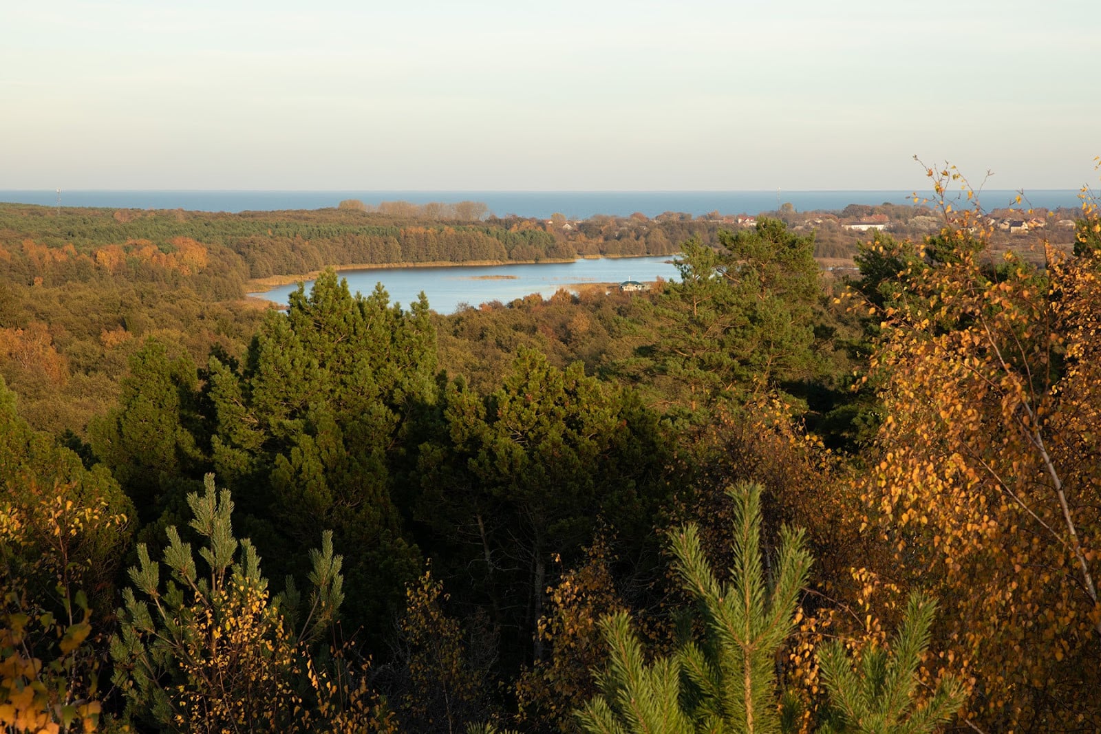 Высота Мюллера